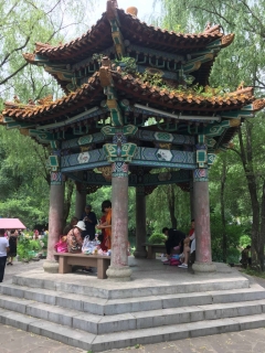 t_2018-07-01 10.24.31 HDR.jpg